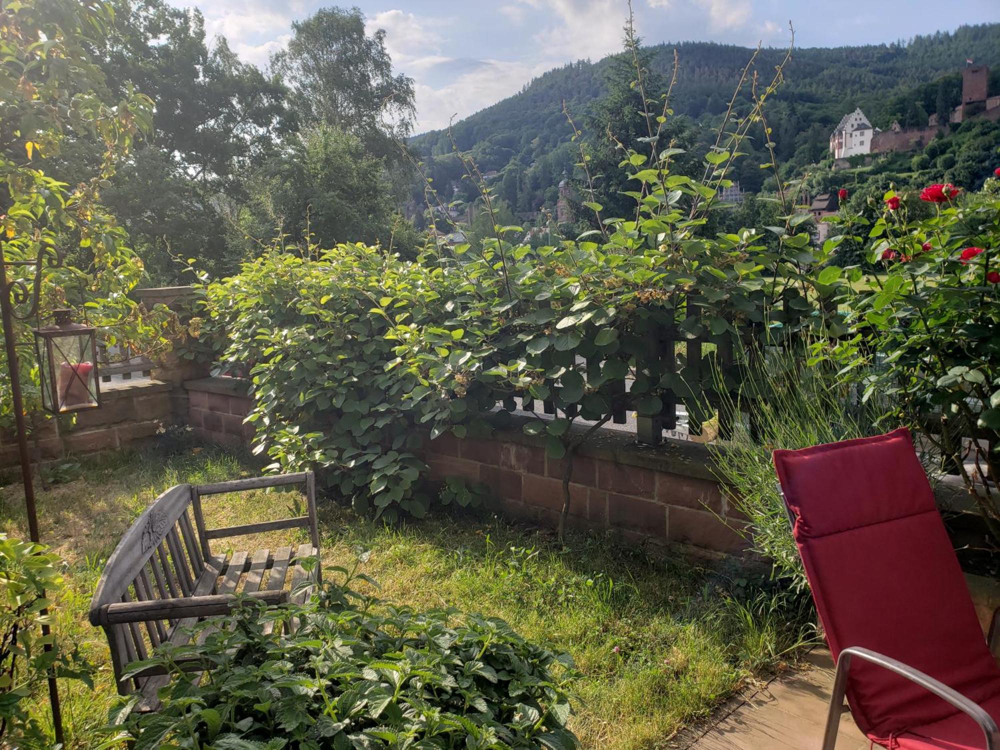 Panorama-Blick Miltenberg, 3 Pers., zentr., am Main, Terrasse, Bootverleih, P Exterior foto