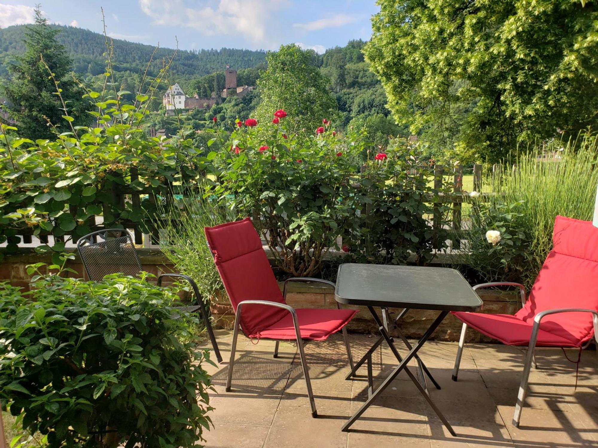 Ferienwohnung Panorama-Blick Miltenberg, 3 Pers., zentr., am Main, Terrasse, Bootverleih, P Exterior foto