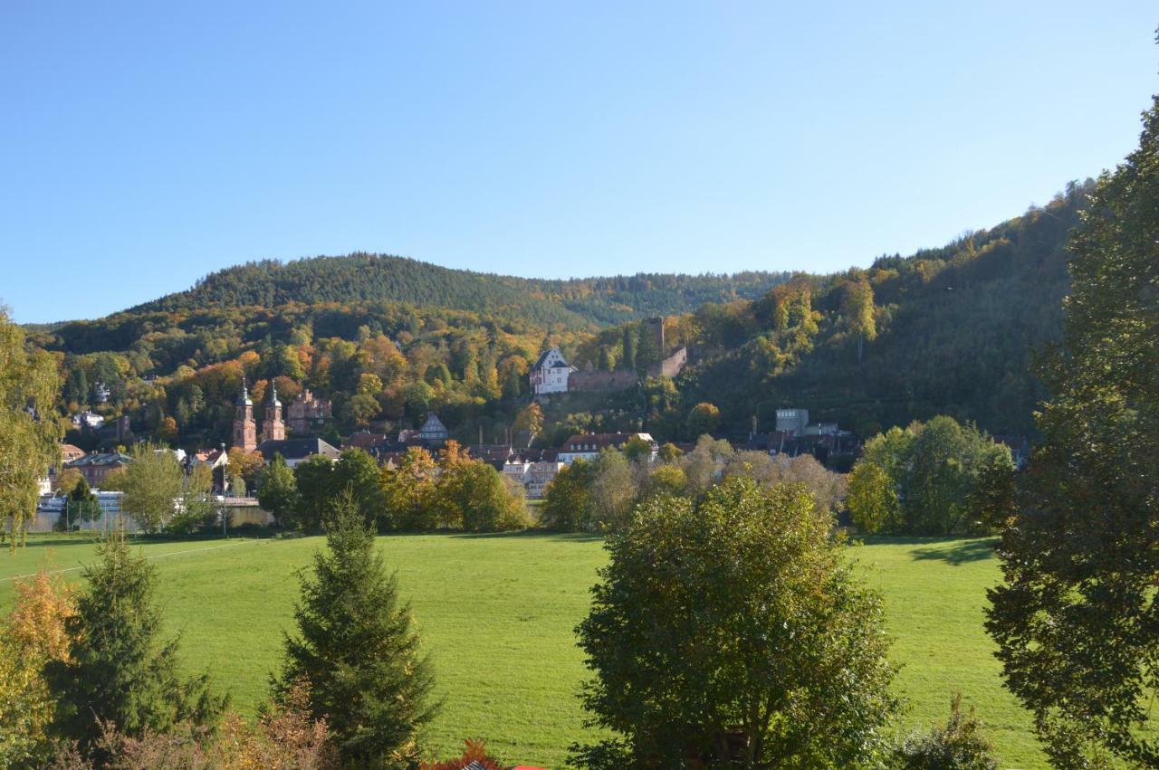 Ferienwohnung Panorama-Blick Miltenberg, 3 Pers., zentr., am Main, Terrasse, Bootverleih, P Exterior foto