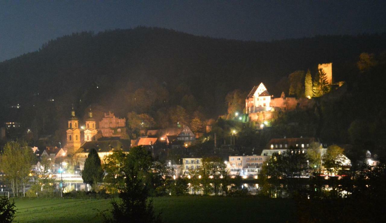 Ferienwohnung Panorama-Blick Miltenberg, 3 Pers., zentr., am Main, Terrasse, Bootverleih, P Exterior foto