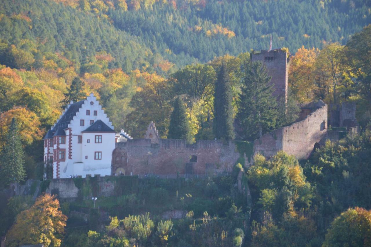 Ferienwohnung Panorama-Blick Miltenberg, 3 Pers., zentr., am Main, Terrasse, Bootverleih, P Exterior foto