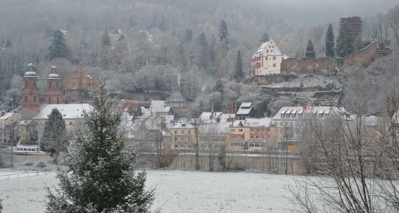 Ferienwohnung Panorama-Blick Miltenberg, 3 Pers., zentr., am Main, Terrasse, Bootverleih, P Exterior foto