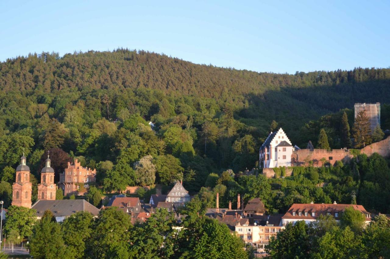 Ferienwohnung Panorama-Blick Miltenberg, 3 Pers., zentr., am Main, Terrasse, Bootverleih, P Exterior foto